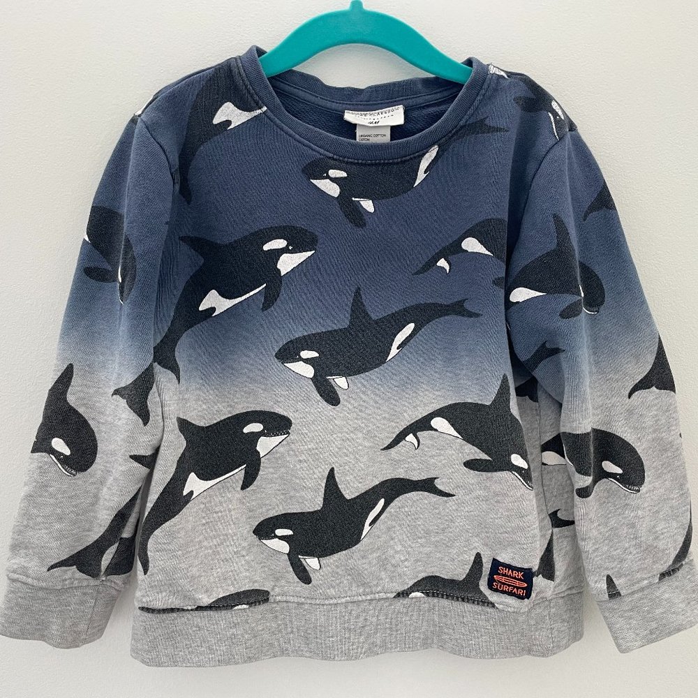 Jonas Claesson H&M Killer Whale Sweatshirt